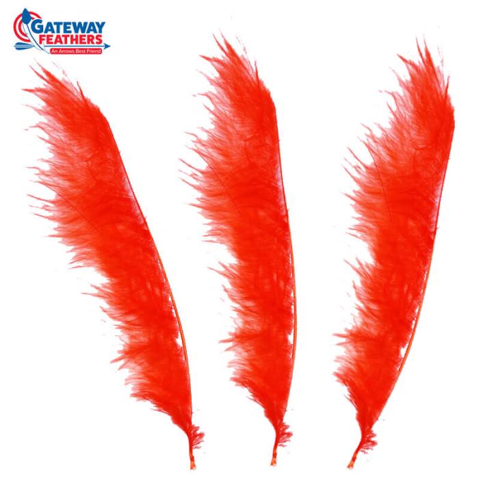 Vendita Gateway feathers piume traccianti rosse, vendita online Gateway  feathers piume traccianti rosse