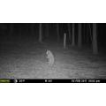 MOULTRIE PHOTOTRAPPLE M-40I 16MP HD - photo 5