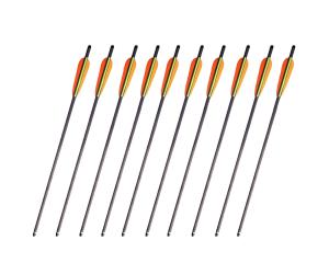 PROMO 10 DARTS FOR BLACK 20 "CARBON CROSSBOW