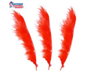 GATEWAY FEATHERS RED TRACER FEATHERS